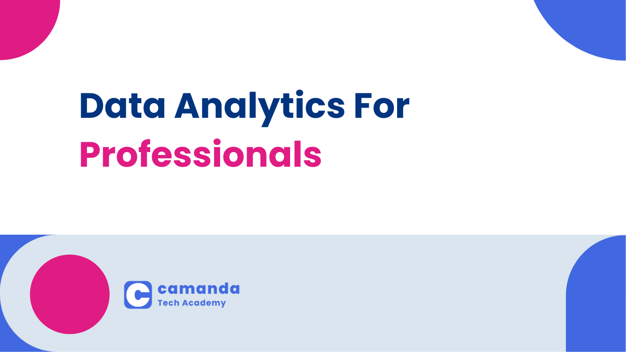 Data Analytics for Professionals – One on One